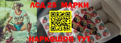 крисы Гатчина