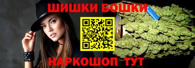 крисы Гатчина