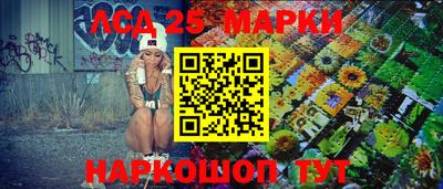 крисы Гатчина