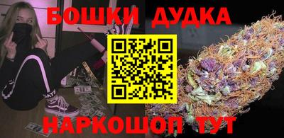 индика Гай