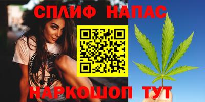 индика Гай