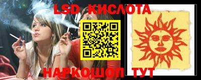 крисы Гатчина