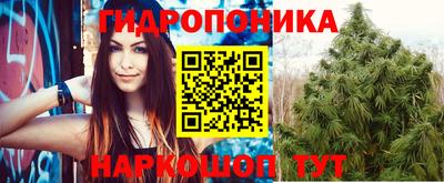 крисы Гатчина