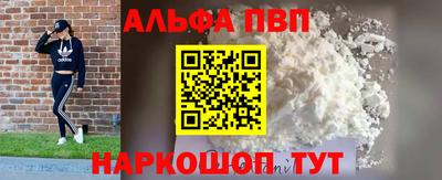 индика Гай