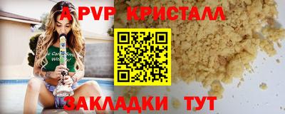 индика Гай