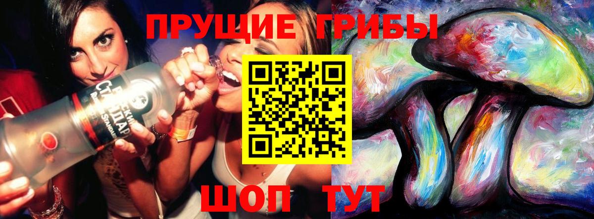 Галлюциногенные грибы Psilocybine cubensis  Вход с VPN  Михайловка 