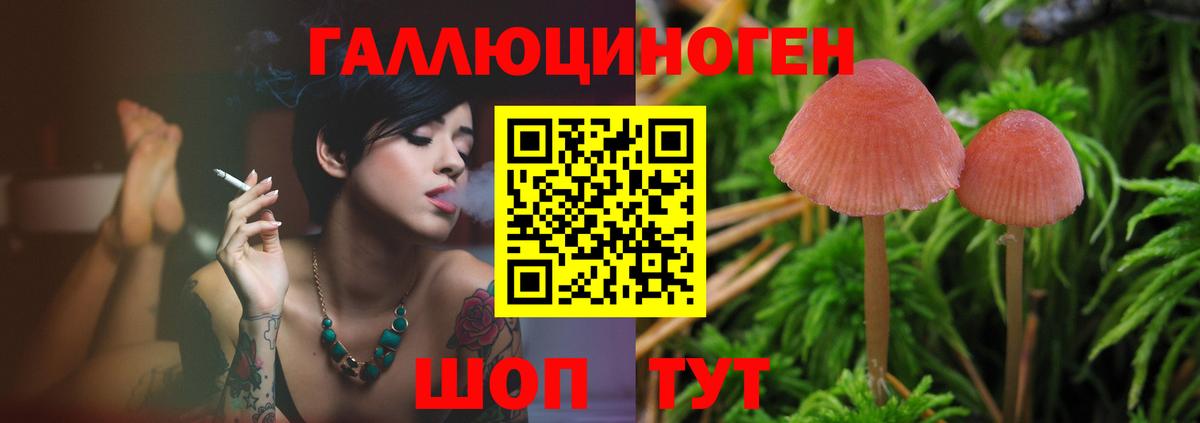 Галлюциногенные грибы Psilocybine cubensis Михайловка