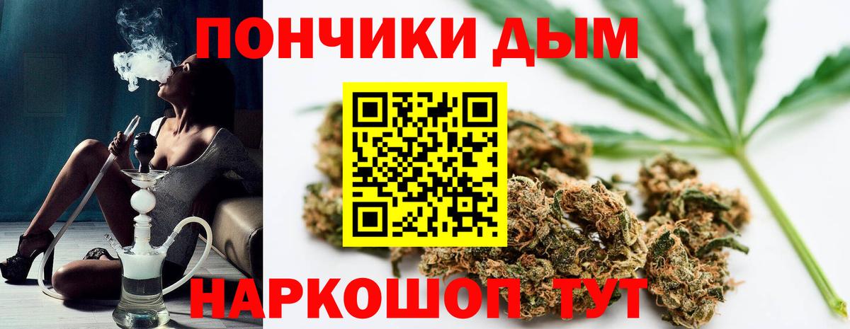 Бошки Шишки Amnesia Михайловка
